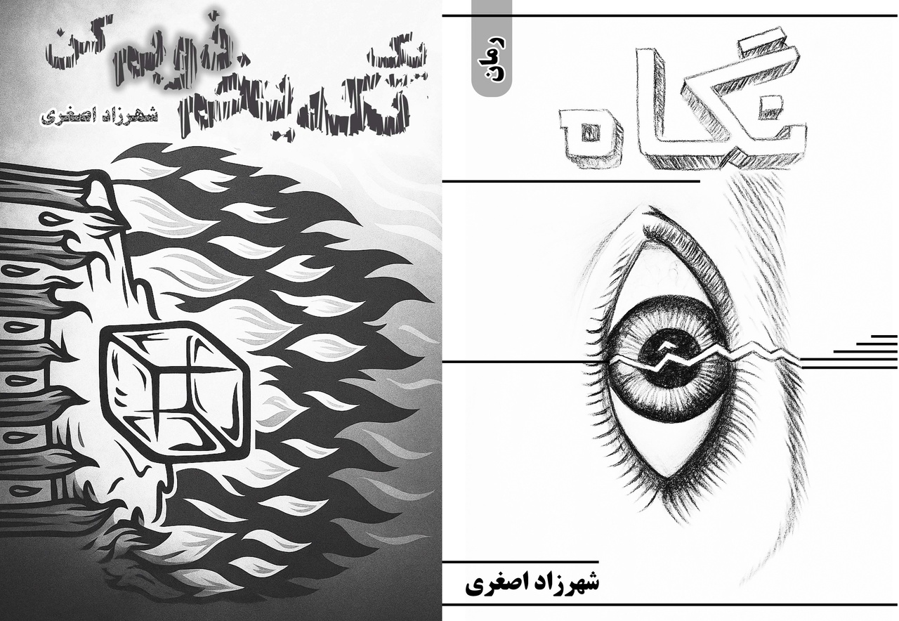 نویسنده‌ای با قلمی صریح، تخیلی بی‌مرز و نگاهی یخ‌نواز