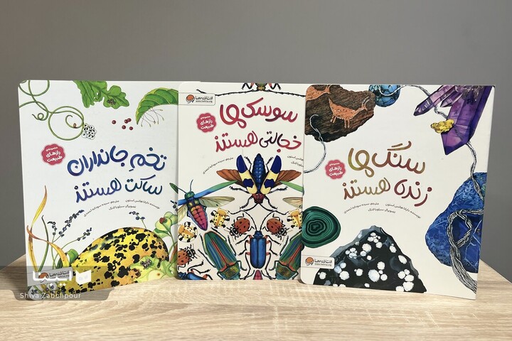 وقتی سوسک‌ها و سنگ‌ها هم زیبا می‌شوند