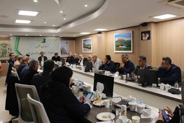 بازار سلولزی در لبه ناپایداری/ثبات مطالبه اصلی چاپخانه‌ها