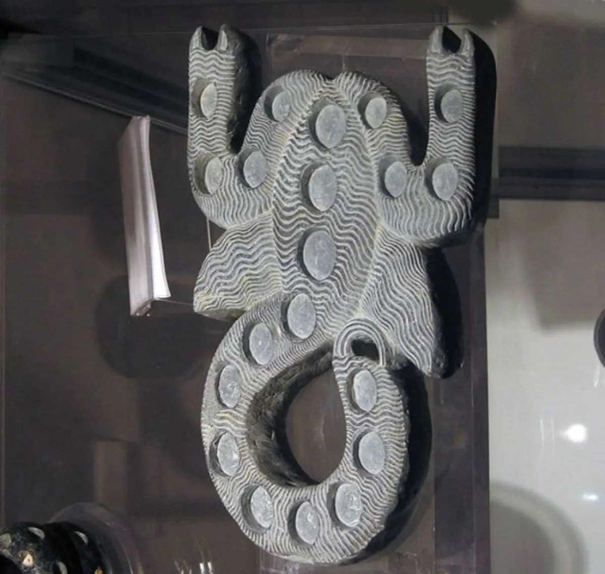 ایرانی بودن افتخار بزرگی است