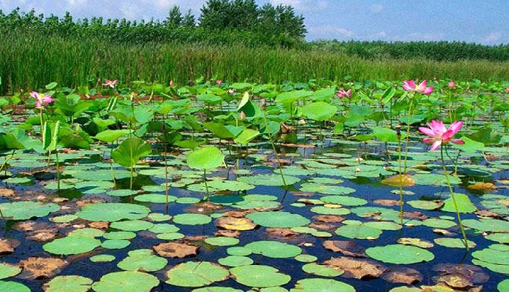 بلیط اتوبوس تهران انزلی: راهنمای توقفگاه‌ها برای سفر 14