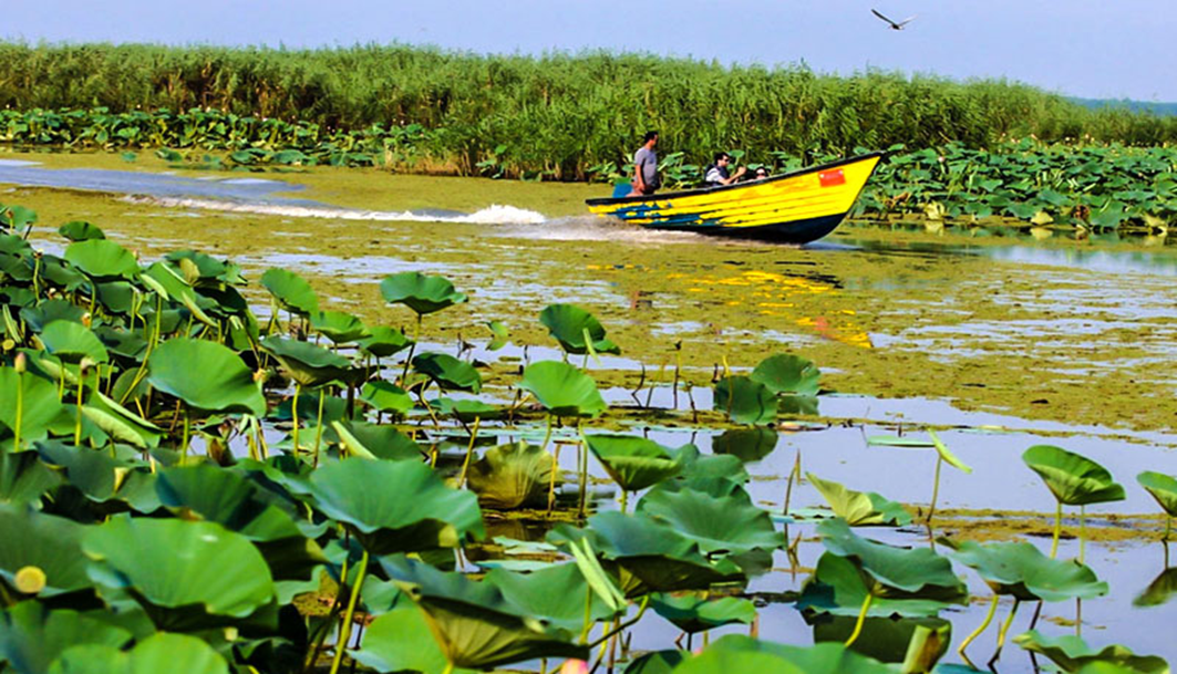 بلیط اتوبوس تهران انزلی: راهنمای توقفگاه‌ها برای سفر 14