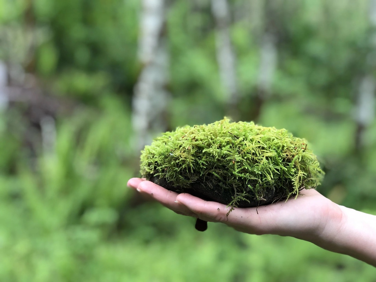 زمین به‌مثابه امانت