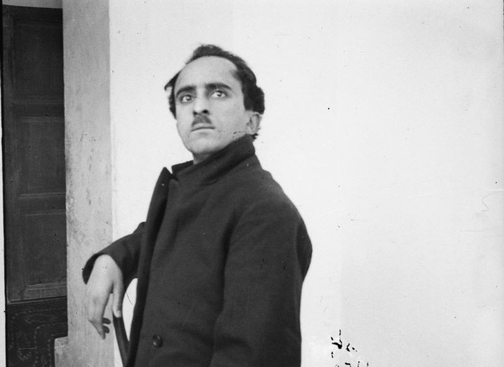 رویکرد نیما به زبان و نحو، دو کارکرد زیبایی‌شناختی و اجتماعی داشت