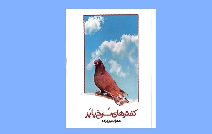 در اعماقِ پیچیده سادگی