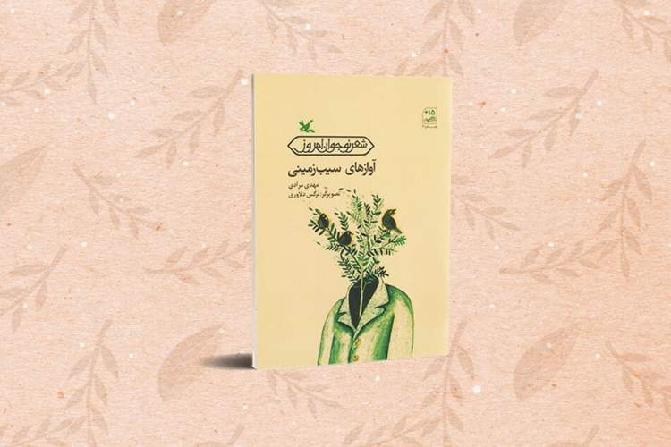 مروری بر «آوازهای سیب‌زمینی» اثر تقدیرشده یازدهمین دوره شعر فجر