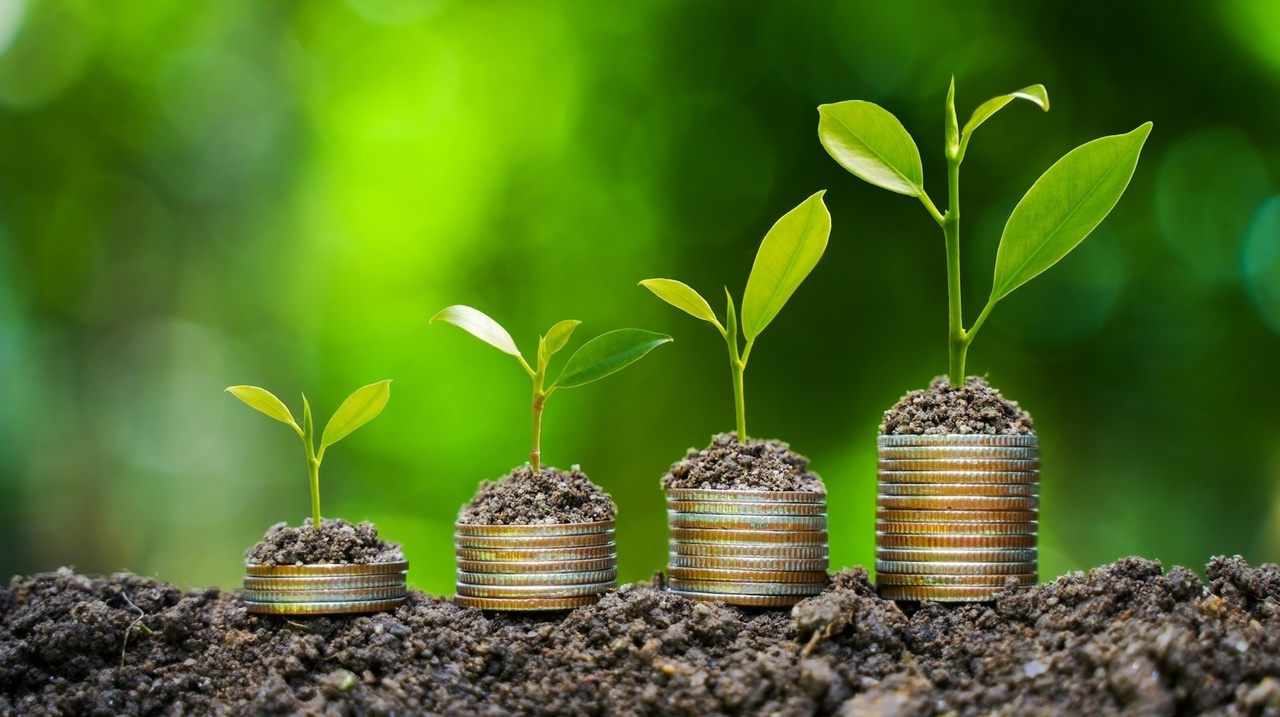 گذار از اقتصاد فسیلی