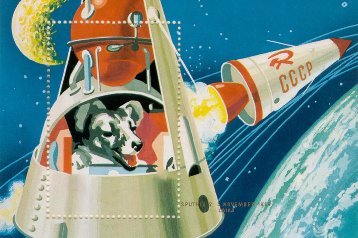 داستان لایکا؛ اولین سگ فضانورد