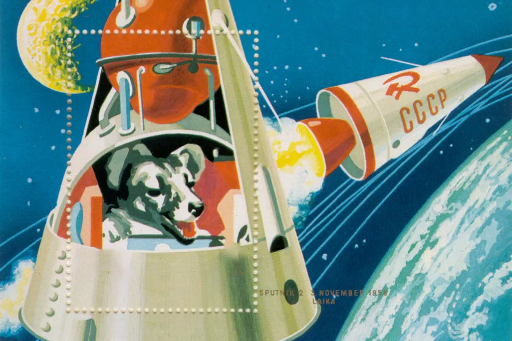 داستان لایکا؛ اولین سگ فضانورد