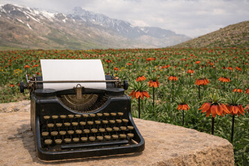 ریشه‌های داستان‌نویسی در چهارمحال و بختیاری/ «امثال و حکم» کجا نوشته شد؟