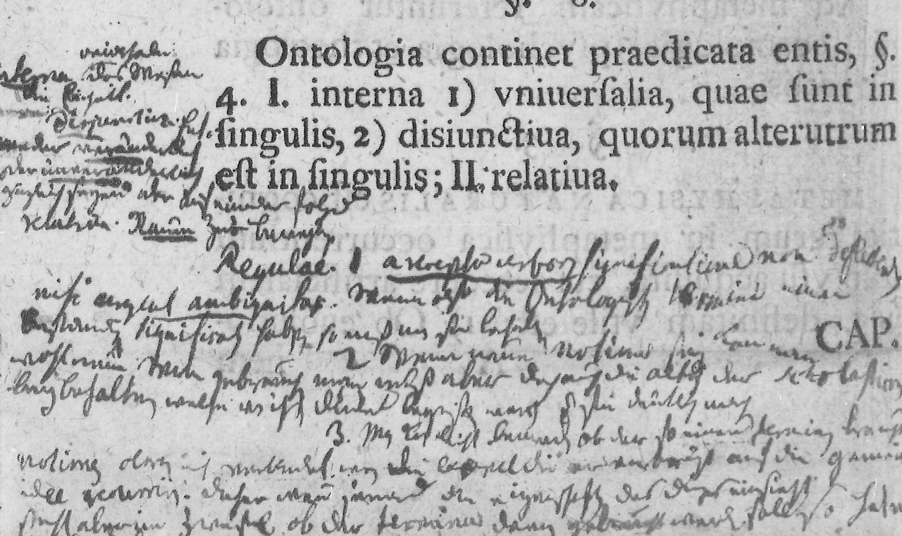 بیداری فیلسوف آلمانی از خواب جزماندیشی