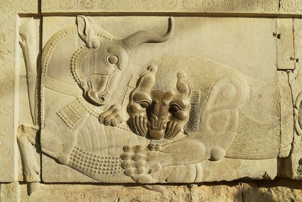 زایش دوباره زندگی و تولد دگرباره دنیا