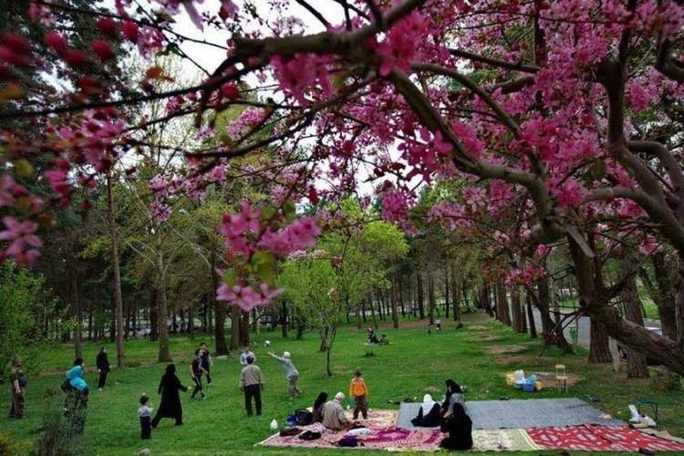 همه کس رفته از خانه به صحرا/ برون برده همه ساز تماشا