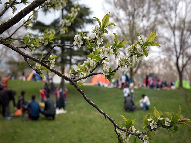 چرا «سیزده‌بدر» در ادبیات ایران غایب است؟