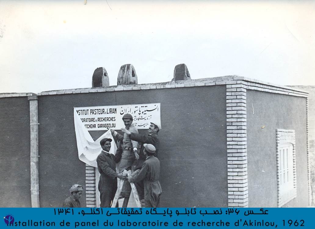 روزی روزگاری انستیتو پاستور ایران