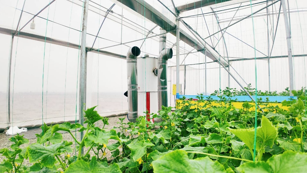 بخاری‌های گلخانه‌ای جدید و کابینتی | راهنمای 1405