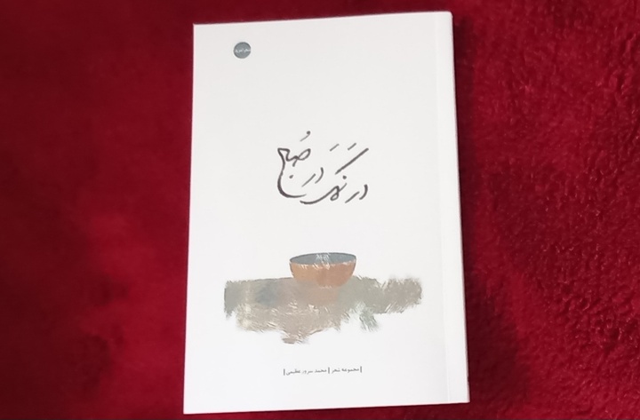 «در نمک در صبح» منتشر و راهی بازار کتاب شد