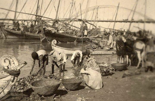 «خلیج فارس»؛ مایه، غرور ثروت و اقتدار ایران
