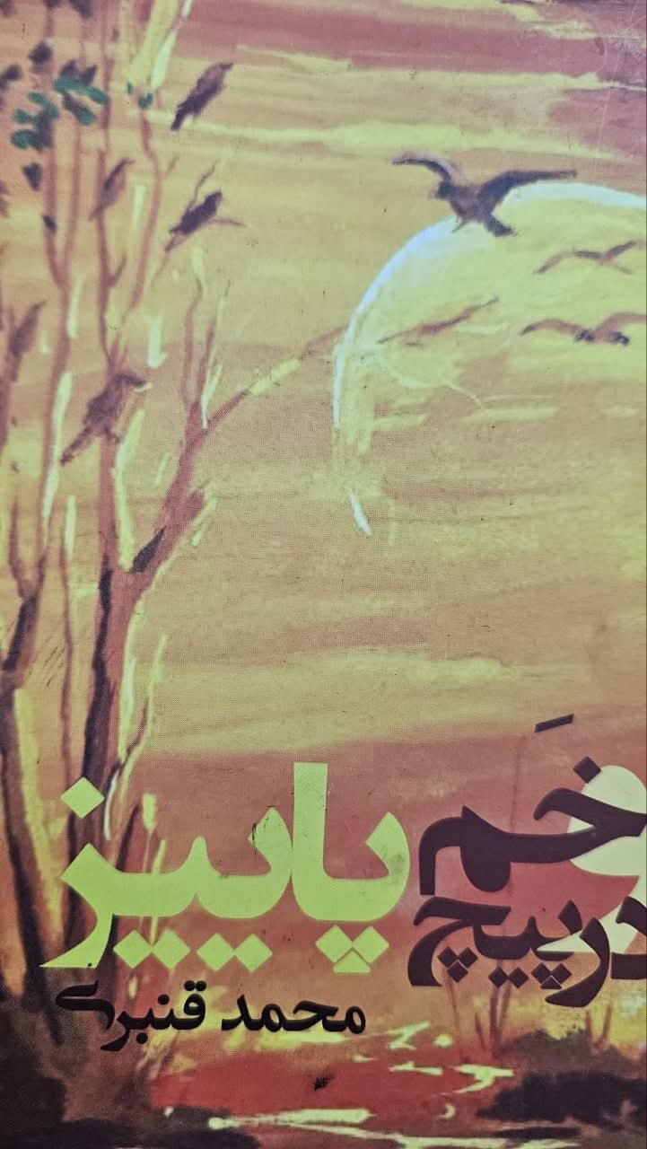کتاب «در پیچ خم پاییز» در شیراز رونمایی شد