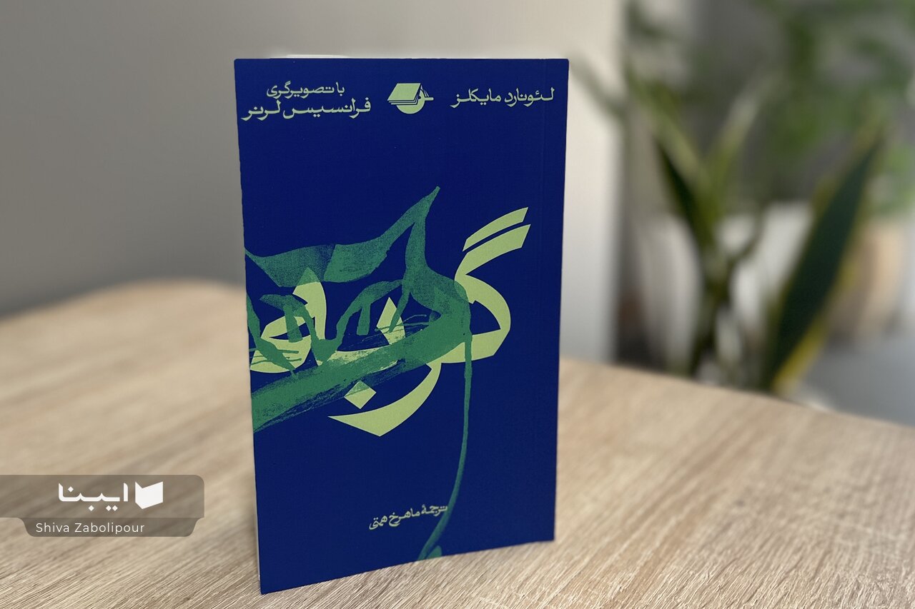 به رابطه‌تان با گربه‌ها شانس دیگری بدهید