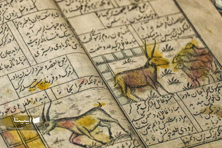 نسخ خطی کتابخانه مرکزی کرمانشاه