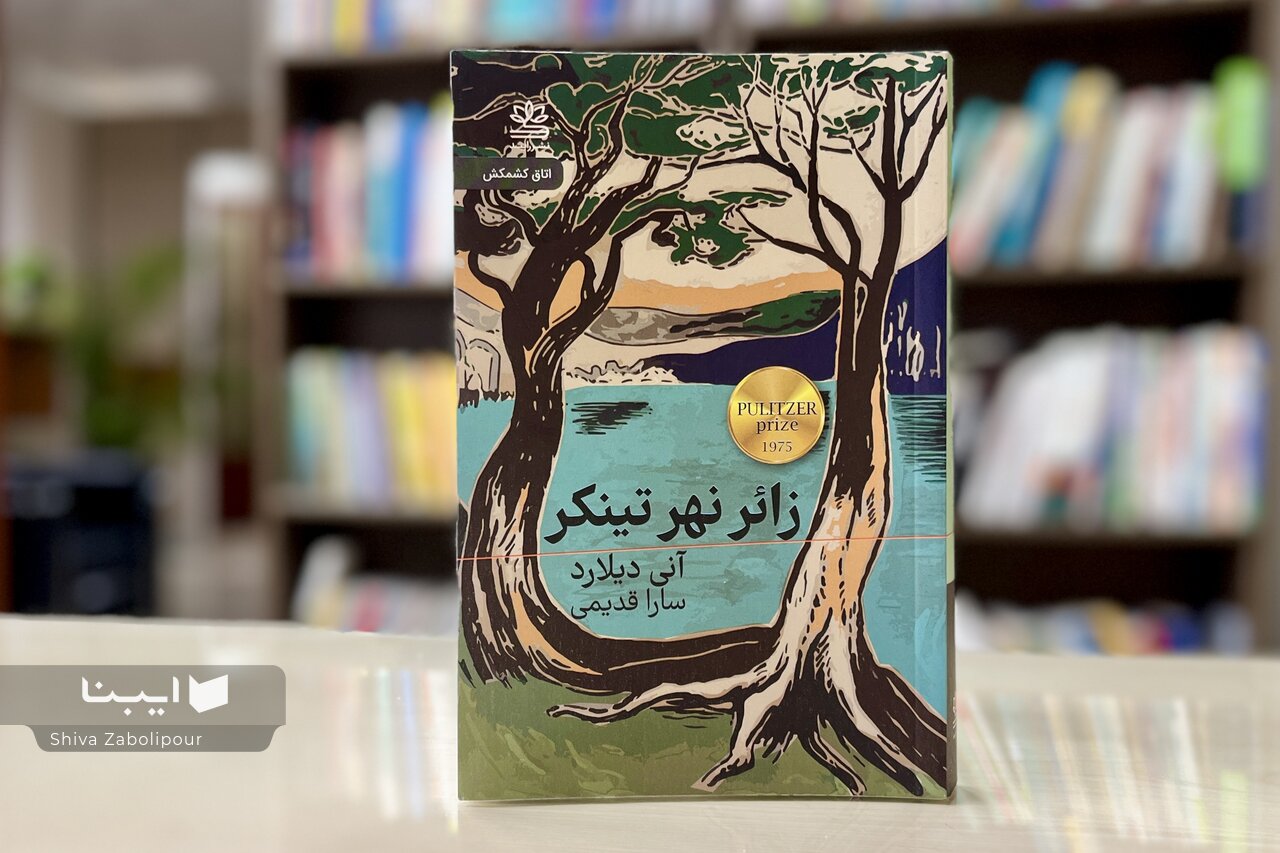 زائر، کتابی فراتر از طبیعت‌نگاری