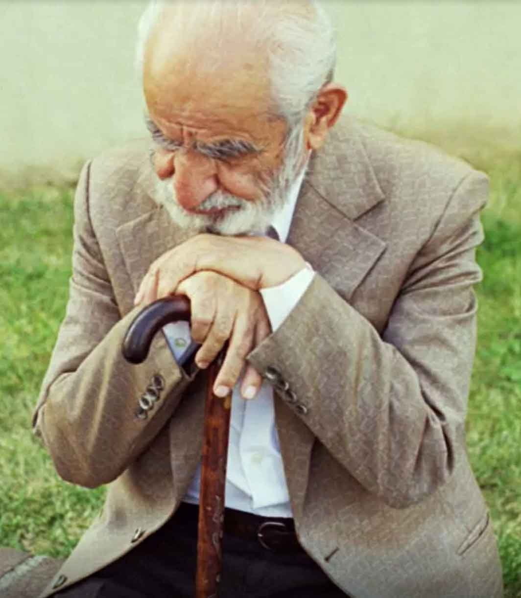 حیات آرام آقای مترجم