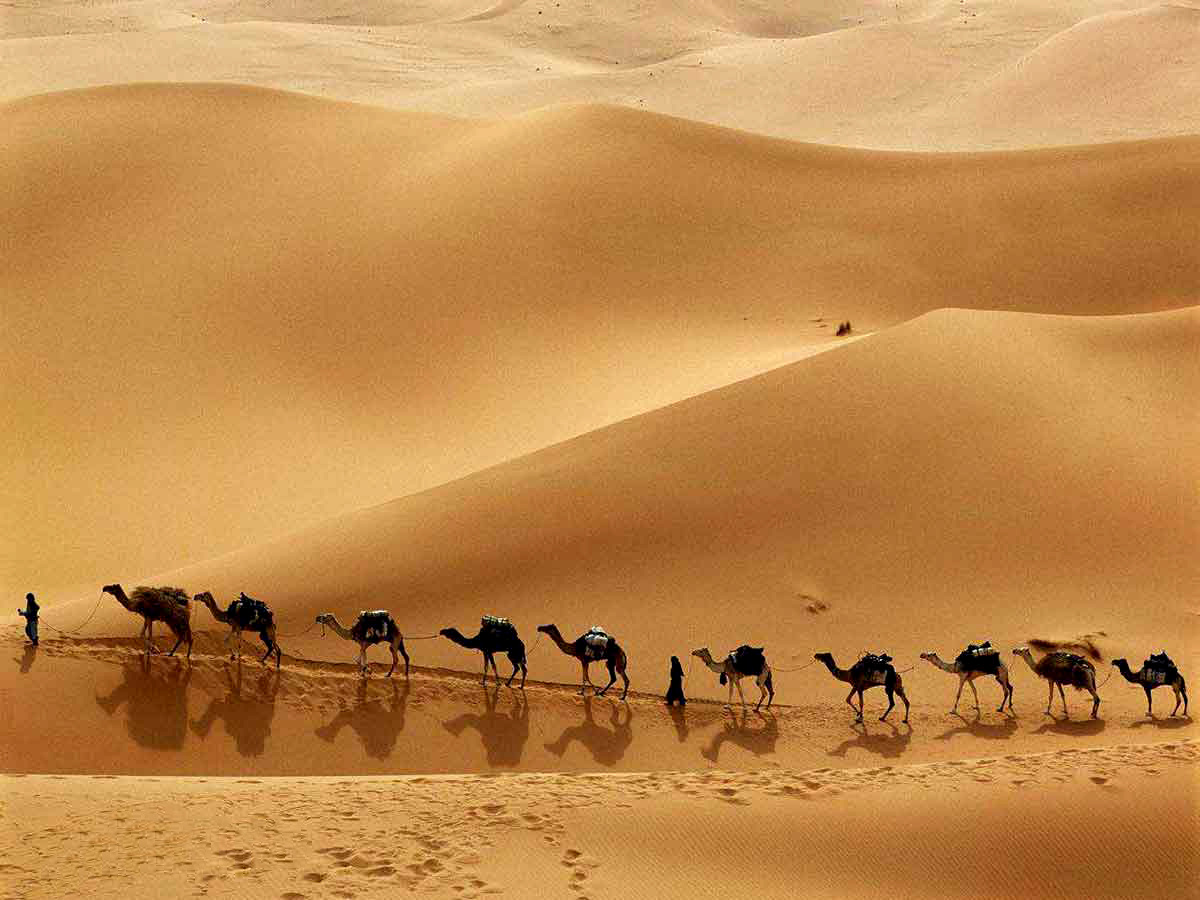 ما سفر برگذشتنی گذرانیم