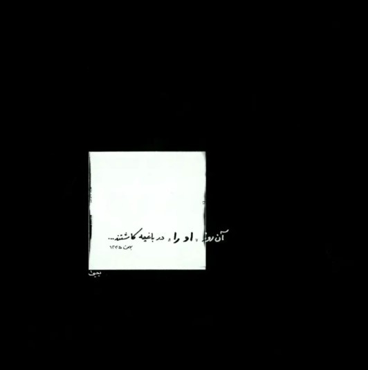 عکاسی خلق زیبایی از طریق نور است