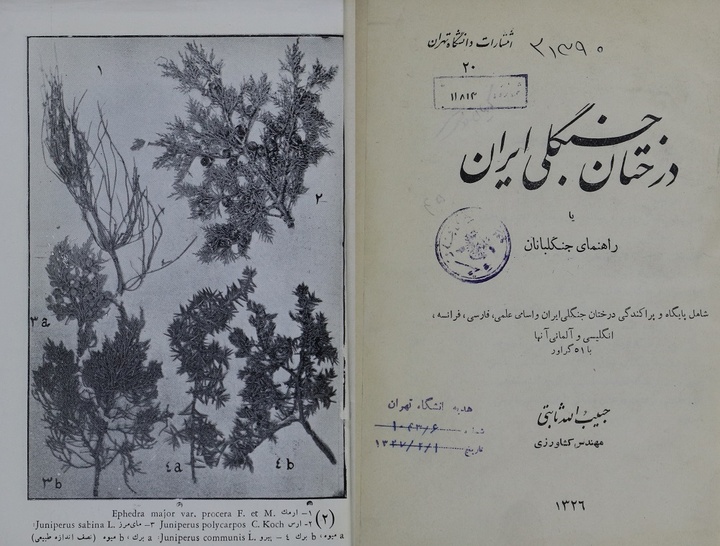 منبعی کلاسیک در جنگلداری و درخت‌شناسی ایران