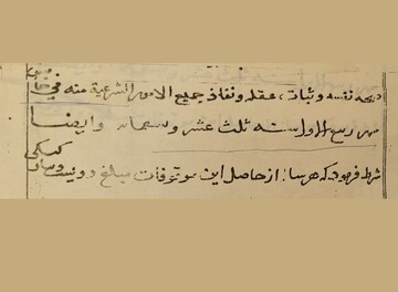 کشف قدیمی‌ترین وقف‌نامه جهان اسلام در طبس/ سندی متعلق به سال ۶۹۲ هجری شمسی