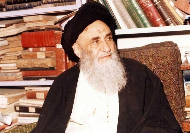  زندگی نامه و خدمات آیت الله العظمی مرعشی نجفی(ره)
