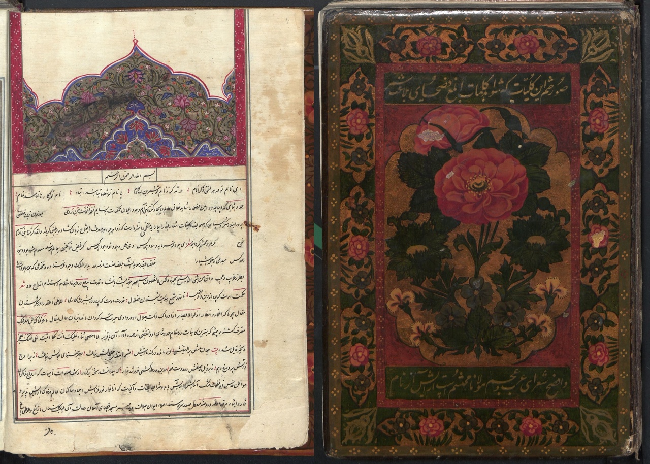 خون می‌گذشت از سر ایوان کربلا