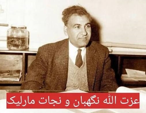 از تحصیل در دانشگاه تهران تا جهانیکردن شهر سوخته