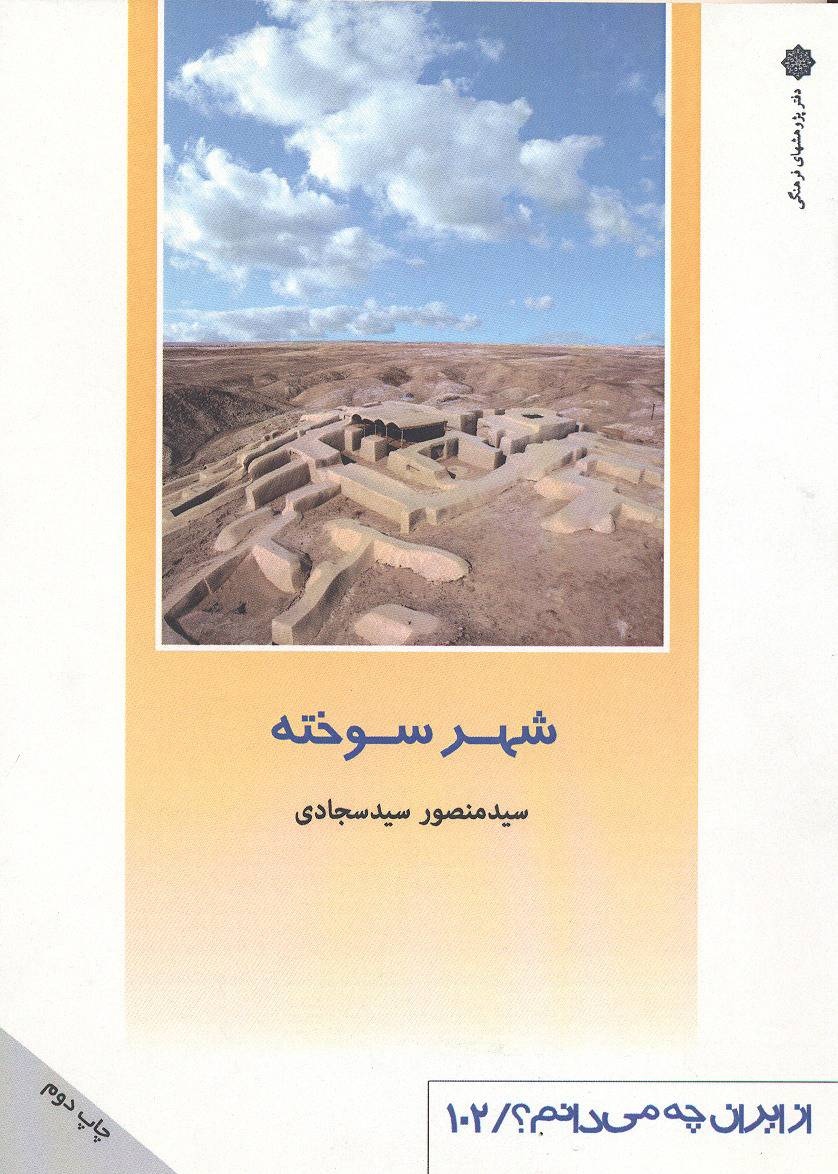 از تحصیل در دانشگاه تهران تا جهانیکردن شهر سوخته