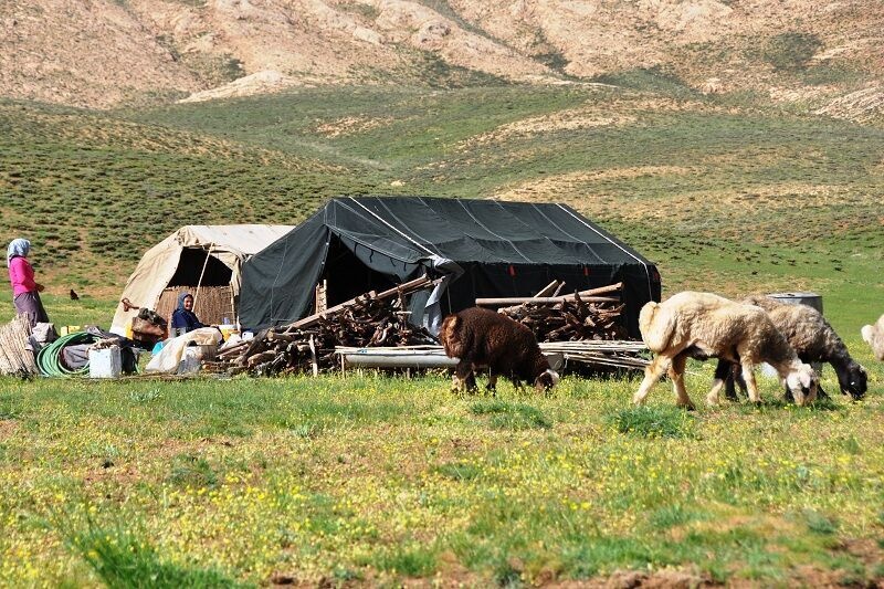 پژوهش‌های محلی کهگیلویه‌ و بویراحمد در ایستگاه منابع مالی