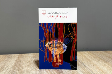 روایتی از وهم، عشق و جنون در رمان جدید علیرضا محمودی ایرانمهر
