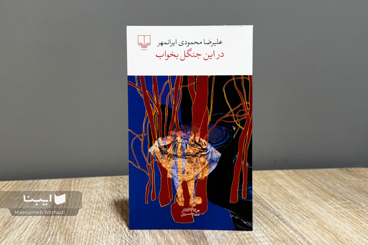 روایتی از وهم، عشق و جنون در رمان جدید علیرضا محمودی ایرانمهر