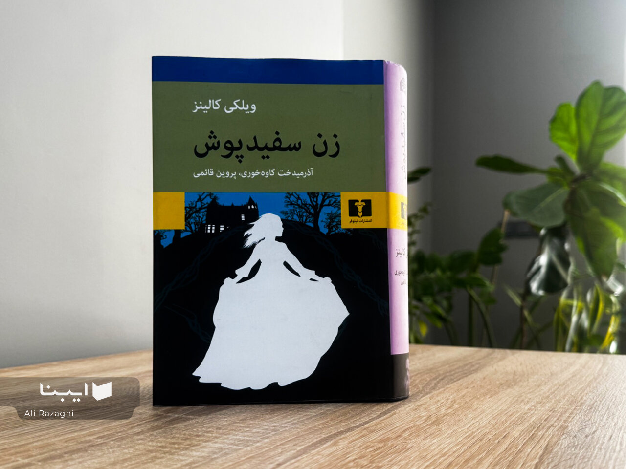 کالینز، آنسوی سایهی دیکنز