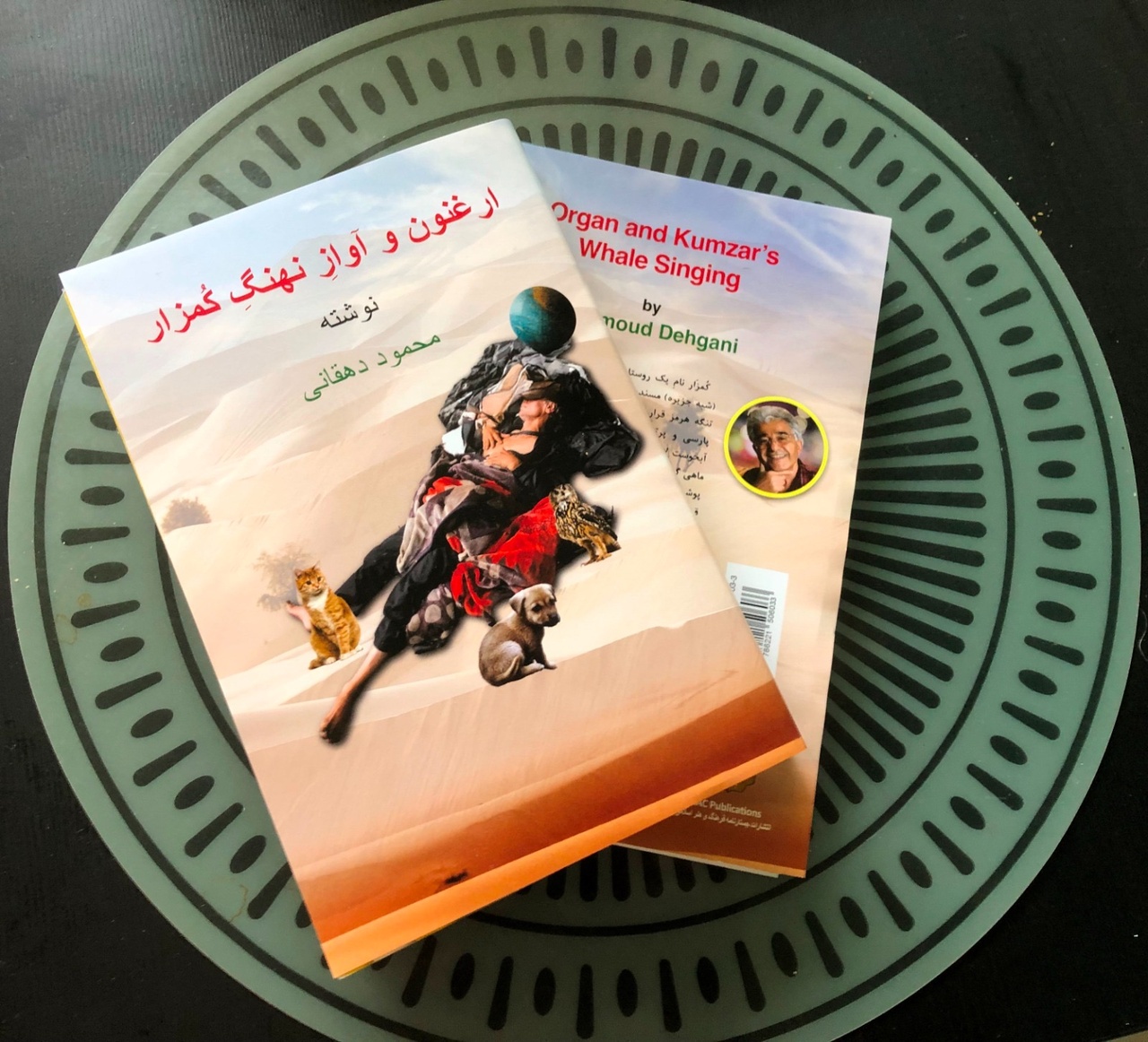 «ارغنون و آوازِ نهنگِ کُمزار» منتشر شد