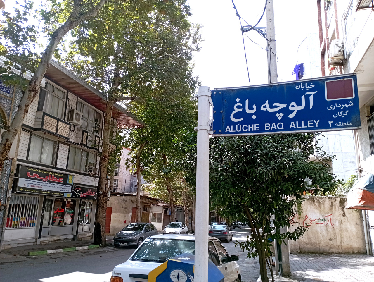 وقتی گرگان در کلمات نادر ابراهیمی جان گرفت