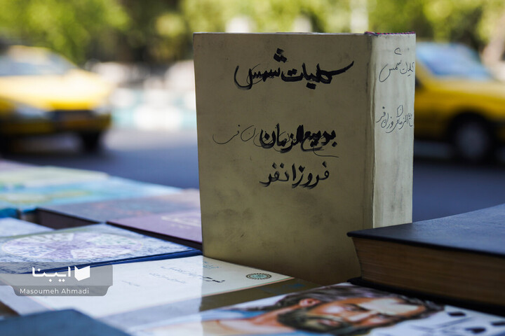 مولانا در شهر