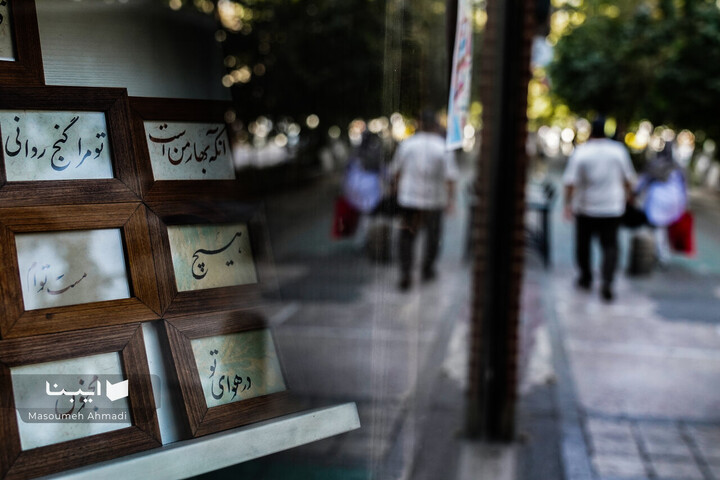 مولانا در شهر