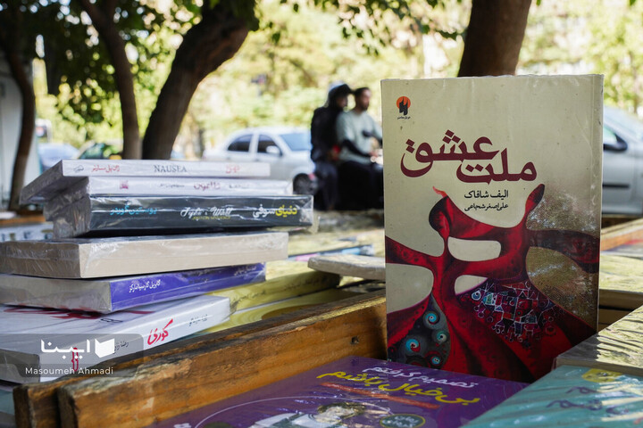 مولانا در شهر