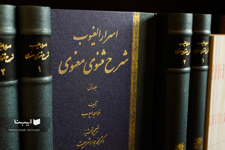 مولانا در شهر