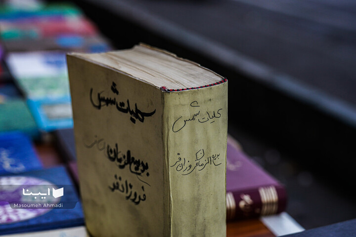 مولانا در شهر