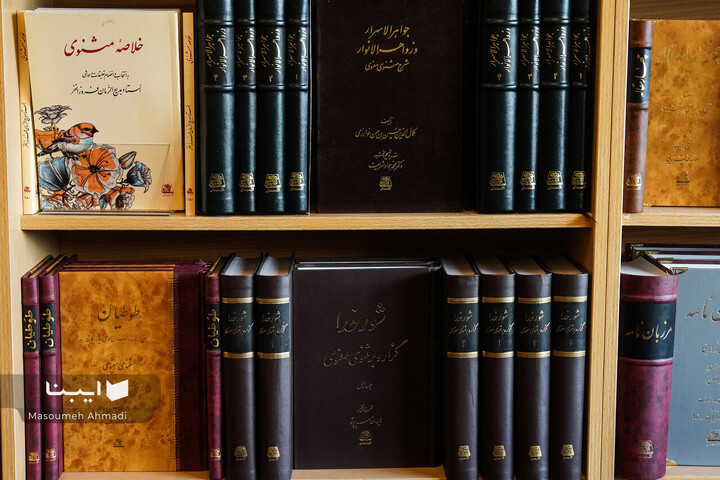 مولانا در شهر