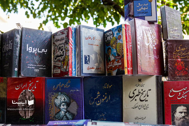 مولانا در شهر
