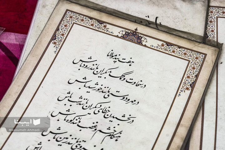 مولانا در شهر