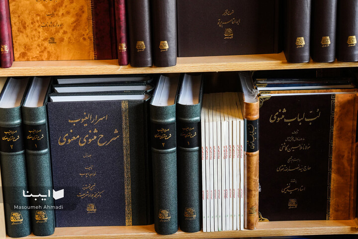 مولانا در شهر